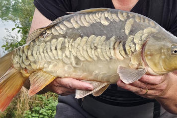 Additional Stock - 1