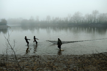 Netting & stock check - 1