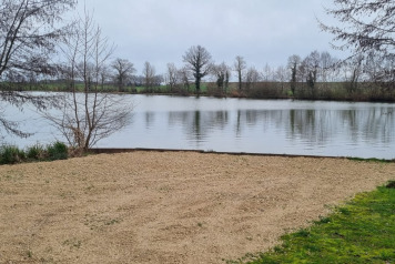 Swims Resurfaced - 1