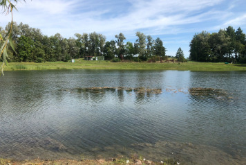 Water Level Update - 9