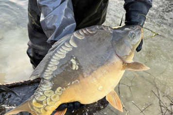 Final stocking For This Winter - 6