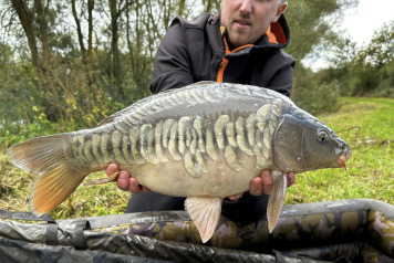 Magnificent Fish - 8