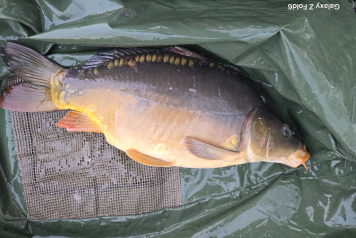 Additional Stock - 4