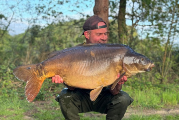 50's across the board - 2