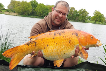 Ragon - Bumper week - 7