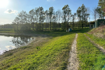 Water Level Update - 11