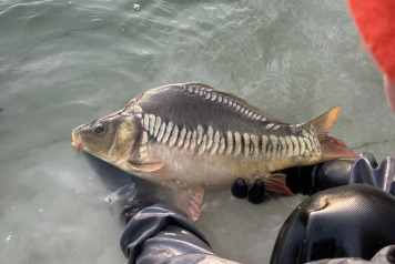 Final stocking For This Winter - 1