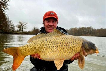 More Stunning New Arrivals in the Lake - 2