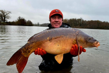 More Stunning New Arrivals in the Lake - 5