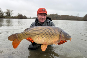 More Stunning New Arrivals in the Lake - 1