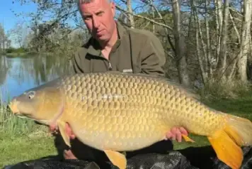 Catch Report - 4