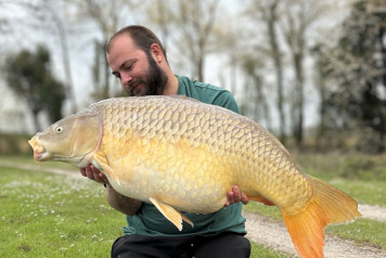 Catch Report - 3