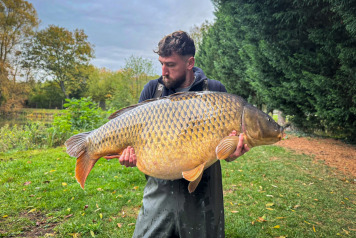 Seigneurie joins the 70's club! - 1