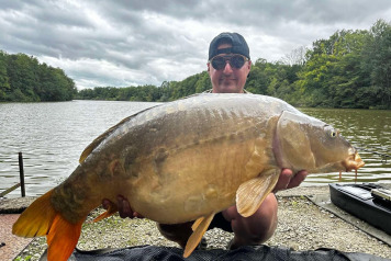 Bumper week on swim 4 - 2