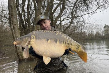 Additional Stock - 2