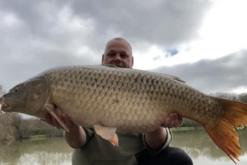 A gorgeous February afternoon - 3