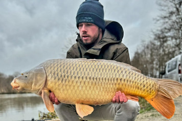 Christmas session - 2