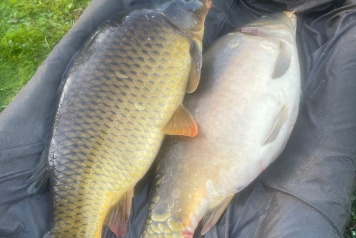 Additional Stocking - 8