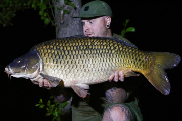 Woods bank updates - 9