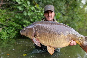 Last week for 2024 - 2