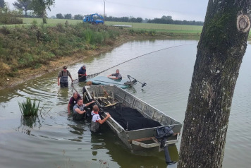 Netting & stock check - 3