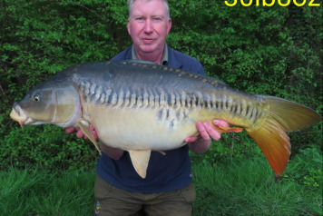 Catch Report - 2
