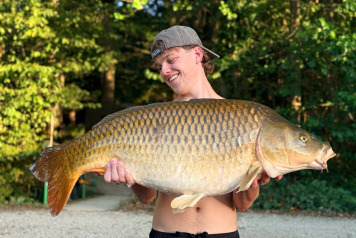 catch report from week 12.09 at 19.09 - 4