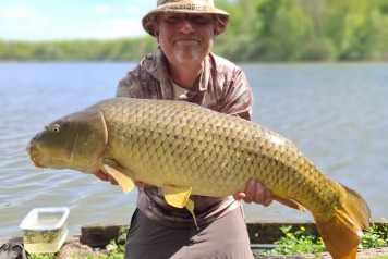 48 carp for swim 12 - 6