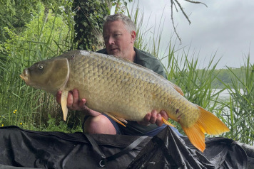 31 carp for 1 angler - 4