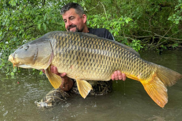 75 carp for peg 9 - 2
