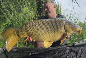 31 carp for 1 angler - 6