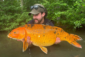 75 carp for peg 9 - 3