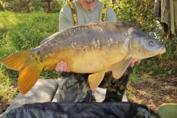 Laroussi Summer News - 24