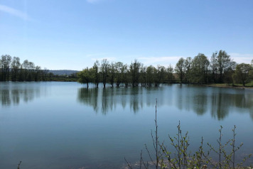 Water Level Update - 5