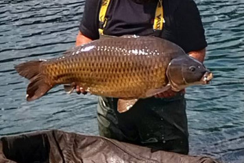 Woods bank updates - 7