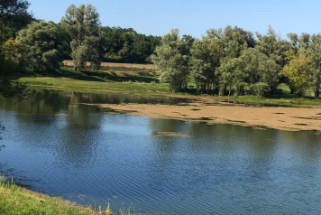 Water Level Update - 6