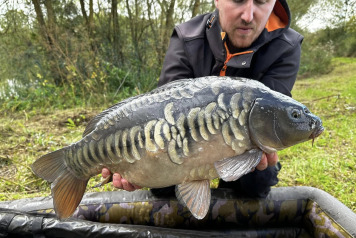 Magnificent Fish - 3