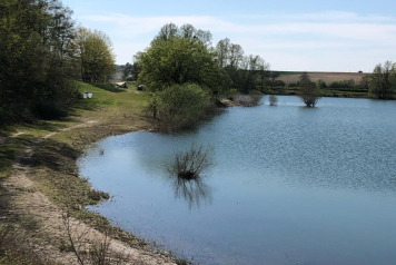 Water Level Update - 1