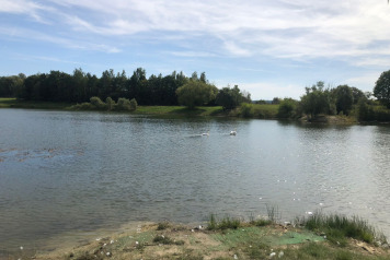 Water Level Update - 11