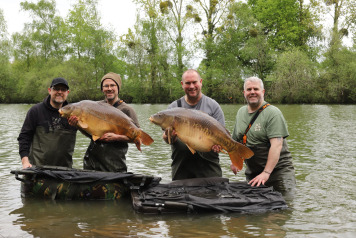 Old Oaks - Doing what it does best! - 2