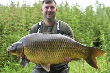 Beauties on the bank - 2