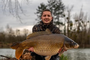 Magnificent common - 1