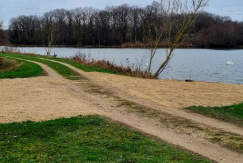 Swims Resurfaced - 3