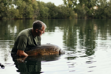 Carpology: Spotlight on Laroussi Video - 3