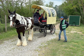 A nice family session at Cerises - 1