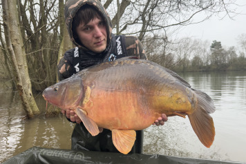 Additional Stock - 5