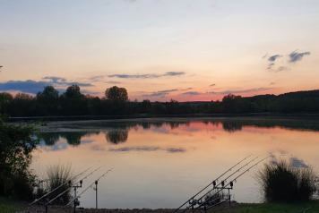 A Short Session on Lepinet - 3