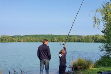 A Short Session on Lepinet - 7