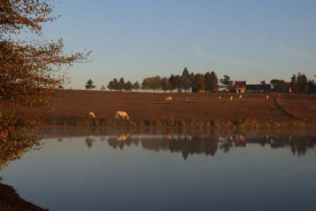 Boux over the years - 2