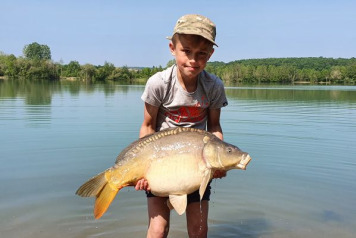 A Short Session on Lepinet - 2